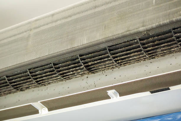 Best Residential Air Duct Cleaning  in Necedah, WI